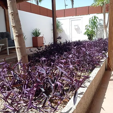 וילה Abona Cave House Fasnia